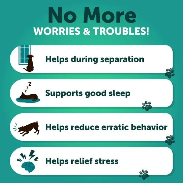 Hemp Calming Chews For Dogs 120 Treats