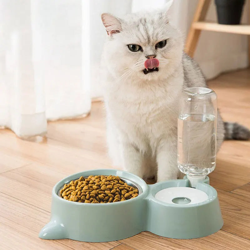 Cat Automatic Water Bowl And A Food Bowl
