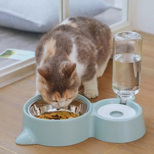 Cat Automatic Water Bowl And A Food Bowl